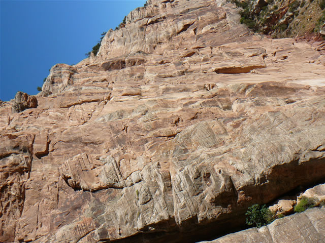 images/B- Mule Ride, riding down in to Grand Canyon.jpg